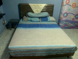 Blk 163 Gangsa Road (Bukit Panjang), HDB 4 Rooms #561496121